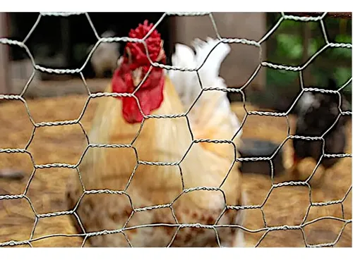 TEJIDO GALLINERO CHINO 13x1.20 Mt.